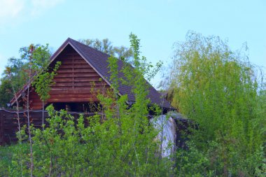 Ekolojik Küçük Ahşap Ev. Ormanda ahşap ev. Doğa, Seyahat Konsepti.