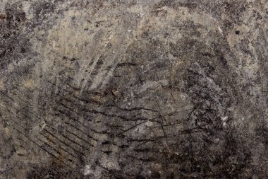 Çizik Beton Duvar Dokusu. Soyut Doku Arka Planı. Gri Renkler Fon.