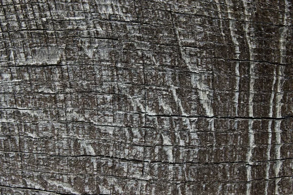 Houten Patroon Texturen Houten Textuur Achtergrond Natuurlijke Achtergrond — Stockfoto