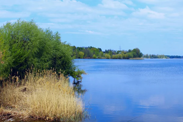 Bellissimo Paesaggio Foresta Lago Cielo Blu Nuvole Bianche Bella Natura — Foto Stock