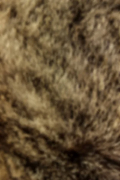 Wildtiere Tiere Texturen Konzept Abgeschnittenes Braunes Fell Braunes Fell Aus — Stockfoto
