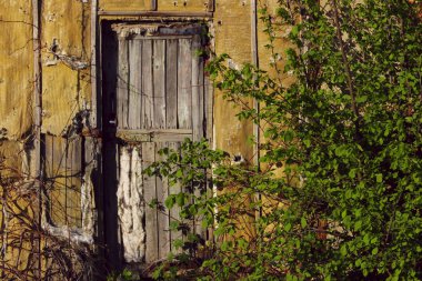 Soyut Garip Arka Plan. Eski ahşap kapı. Eski Kapılar. Eski Ev. 