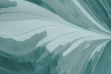 Soyut Bulanık Doku Arka Planı. Bulanık Soyut Gri Desen. Bulanık Renkli Dokular.