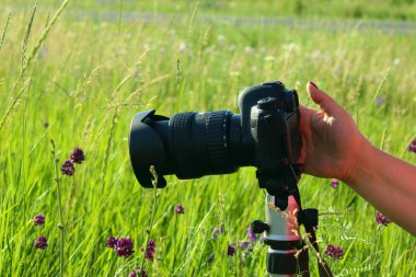Doğanın arka plan üzerinde bir kamera ile bir kadın el Kırpılmış çekim. İnsanlar, seyahat, hobi kavramı. 