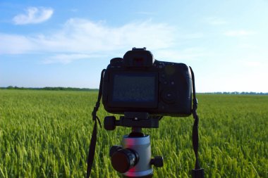 Doğa arka plan üzerinde siyah bir kamera kırpılmış çekim. Seyahat, hobi konsepti. 