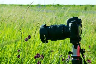 Doğa arka plan üzerinde siyah bir kamera kırpılmış çekim. Seyahat, hobi konsepti. 