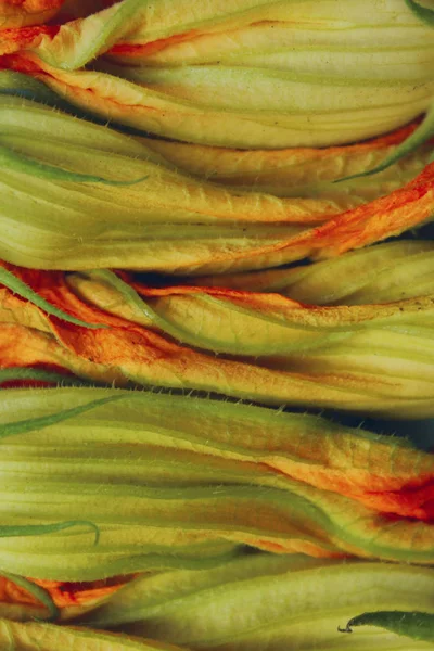 Abstrakte Natur Hintergrund Abgeschnittener Schuss Zucchini Knospen Zucchiniblüten Aus Nächster — Stockfoto