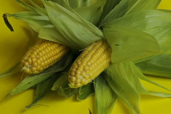 Przycięte Strzał Kukurydzy Świeże Kukurydza Żółtym Tle Zbliżenie Streszczenie Naturalne — Zdjęcie stockowe