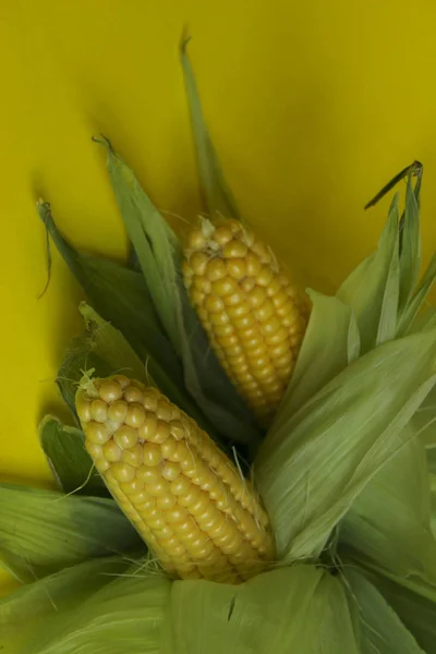 Przycięte Strzał Kukurydzy Świeże Kukurydza Żółtym Tle Zbliżenie Streszczenie Naturalne — Zdjęcie stockowe
