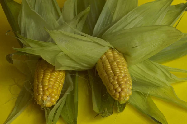 Кукурузные Хлопья Свежая Кукуруза Жёлтом Фоне Крупным Планом Абстрактный Естественный — стоковое фото