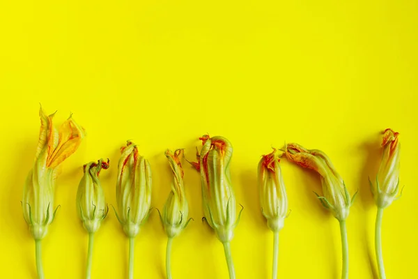 Fleurs Jaunes Sur Fond Jaune Fond Coloré Concept Nature — Photo