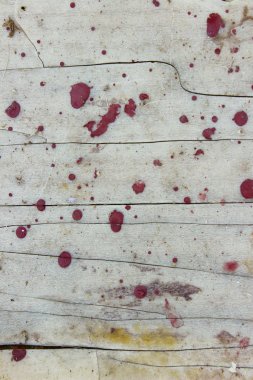 Soyut doku arka planı. Kirli duvar arka planı. Eski çatlamış boyalı ahşap duvar dokusu.