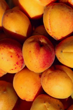 Kırpılmış kayısı iğnesi. Gıda konsepti. Yaz geçmişi. Renkli taze portakal kayısı. Olgun sulu kayısı arka plan.