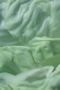 Lahana arka plan bulanık yeşil yaprakları, yakın çekim. Güzel doğa Arkaplan. Lahana, yakın yukarı. Soyut doğa arka plan.