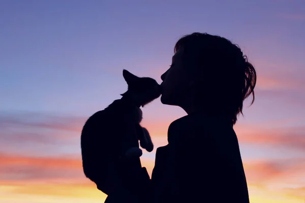 Personas Animales Mascotas Concepto Infancia Silueta Propietario Mascota Silueta Niña —  Fotos de Stock