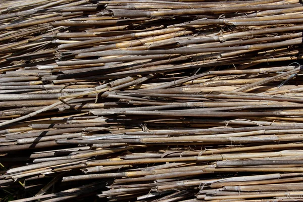 Abgeschnittener Schuss Reisig Holzhintergrund Mit Viel Kopierraum Für Text — Stockfoto