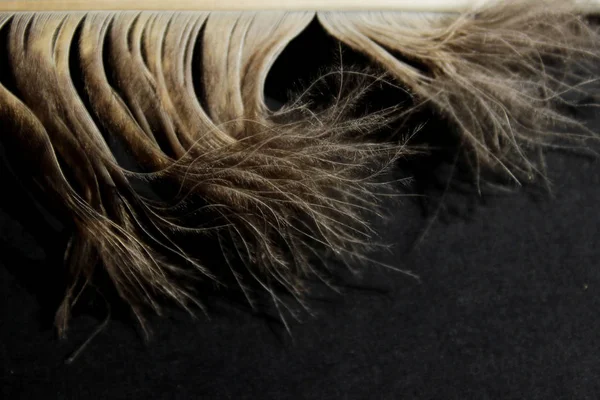 ふわふわの羽のぼやけたイメージ 抽象的な自然の背景 フクロウの羽の切り抜きショット ふわふわテクスチャの背景 — ストック写真