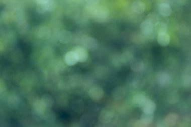 Bulanık yeşil arka plan. Soyut renkli arka plan. Renkli Doku. Mavi ışığın bulanık görüntüsü. Bulanık arka plan. 