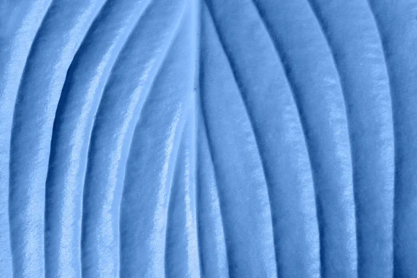 Розмита Смугаста Текстура Тла Абстрактна Текстура Синій Колір Простір Копіювання — стокове фото