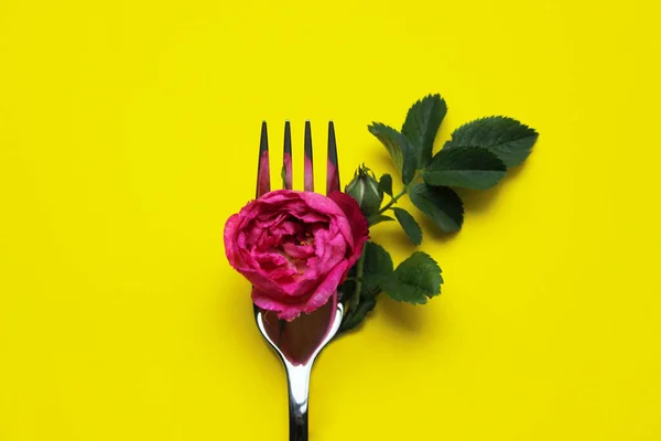 Restauration Restaurant Image Colorée Fleur Fourchette Sur Fond Jaune Fond — Photo
