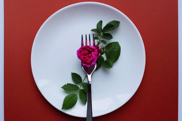 .Restaurant food service. Colorful image of flower and fork on the white plate, colorful background, blurry shot. Abstract food background.