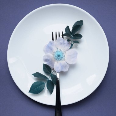 Restoran yemek servisi. Beyaz tabakta çatal ve çiçeğin renkli görüntüsü, mavi arka plan, bulanık görüntü. Soyut gıda arkaplanı, kare resim.