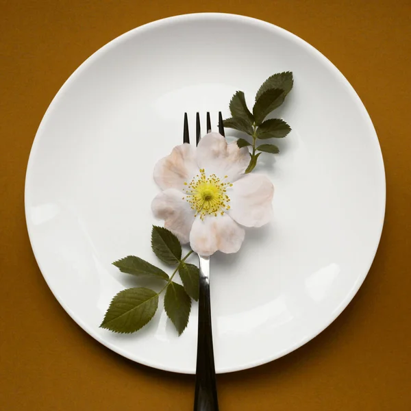 Restaurant food service. Colorful image of flower and fork on the white plate, colorful background, blurry shot. Abstract food background.