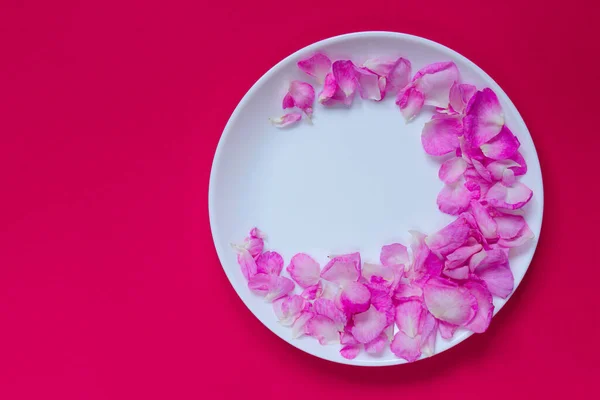 Fond Coloré Abstrait Assiette Blanche Avec Pétales Rose Sur Fond — Photo