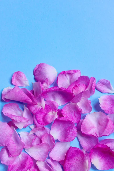 Mavi Arka Planda Pembe Gül Yapraklarının Bulanık Görüntüsü Yatay Görüş — Stok fotoğraf