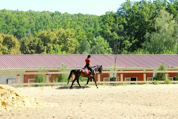 Kůň Jezdec Venku Horizontální Výhled Lidé Zvířata Drezurní Koncept — Stock fotografie