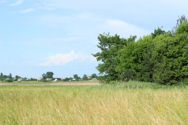 Yeşil alanın bulanık görüntüsü ve mavi gökyüzü arkaplanı. Manzara, doğa konsepti. Doğa Arkaplanı.