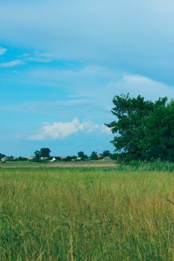 Yeşil alanın bulanık görüntüsü ve mavi gökyüzü arkaplanı. Manzara, doğa konsepti. Doğa Arkaplanı.