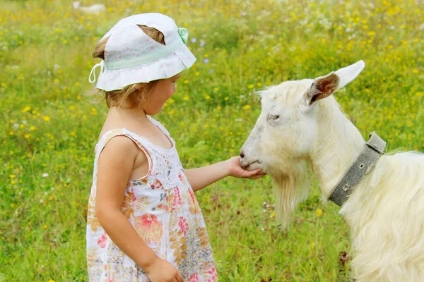 Yetişkin Beyaz Keçiyle Oynayan Sevimli Küçük Bir Kız Bebek Yatay — Stok fotoğraf