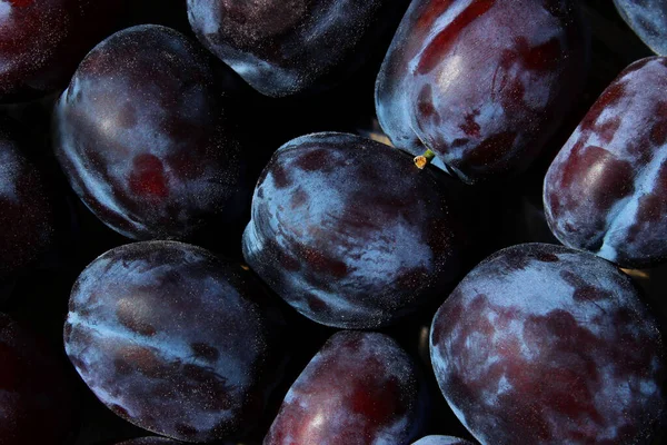 Fondo Ciruelas Azul Oscuro Vista Horizontal Plano Recortado Comida Frutas — Foto de Stock