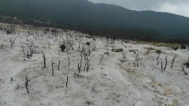 Endonezya'nın doğası, Volkan Papandayan, Java adası. 