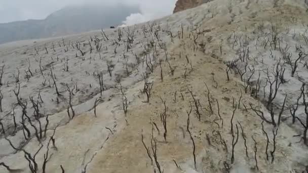 Natur Indonesiens Vulkan Papandayan Insel Java — Stockvideo