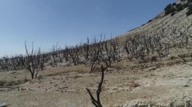 Endonezya'nın doğası, Volkan Papandayan, Java adası. 