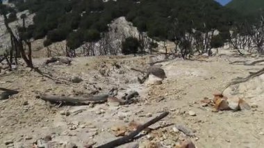 Endonezya'nın doğası, Volkan Papandayan, Java adası. 