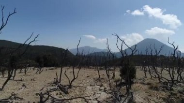 Endonezya'nın doğası, Volkan Papandayan, Java adası. 