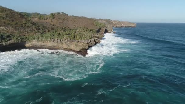 Natura Dell Indonesia Costa Meridionale Giava Riprese Effettuate Luglio — Video Stock
