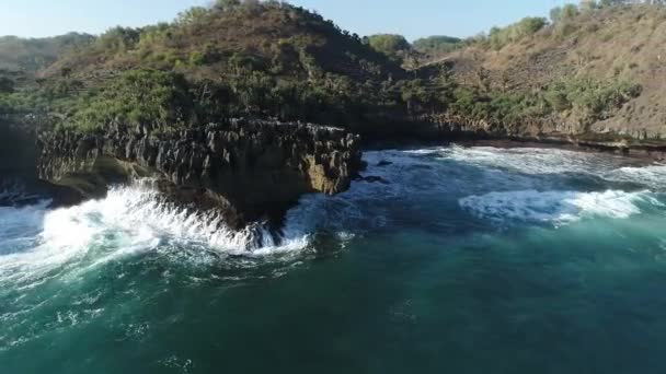 Natura Dell Indonesia Costa Meridionale Giava Riprese Effettuate Luglio — Video Stock