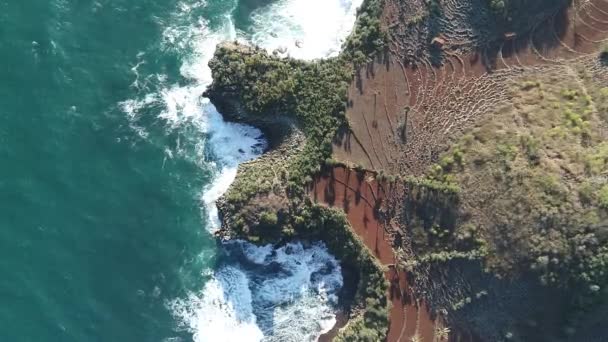 Das Wesen Indonesiens Südküste Javas Dreharbeiten Juli — Stockvideo