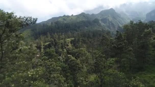 Charakter Indonezji Wyspa Java Góra Merapi — Wideo stockowe