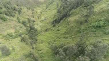 Endonezya'nın doğası. Java adası. Bromo Dağı. 