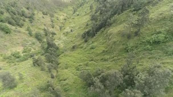 Natura Dell Indonesia Isola Giava Monte Bromo — Video Stock