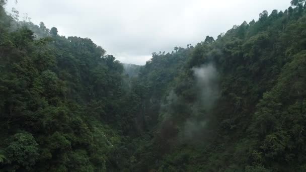 Natura Indonezji Wyspa Java Wodospad Coban Sewu Wodospad Tumpak Sewu — Wideo stockowe