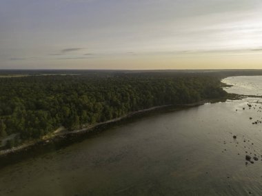 Baltık kıyı deniz plaj havadan görünümü