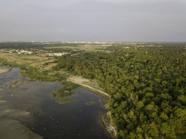 Baltık kıyı deniz plaj havadan görünümü