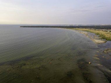 Baltık kıyı deniz plaj havadan görünümü