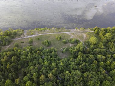 Estonya, Tallinn 'deki Eski Şehir' in manzaralı yaz manzarası.